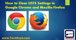 How to Clear HSTS Setting in Google Chrome_02