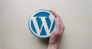 top 10 wordpress support services